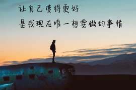 龙山资产调查