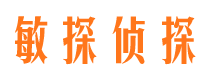 龙山私家调查公司